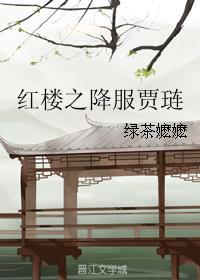 红楼之降服贾琏 无防盗