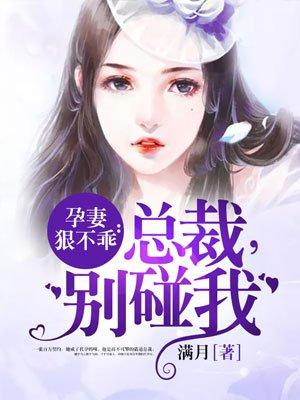 孕妻不乖 总裁别碰我