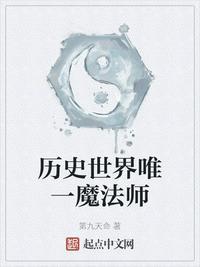 历史世界唯一魔法师 第72章