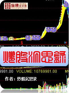 炒股案例书籍